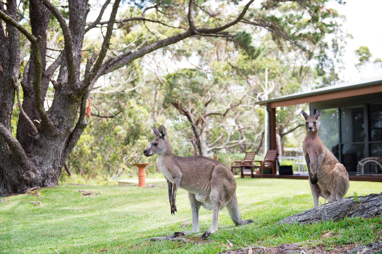 By The Self Contained Bed & Breakfast 4*